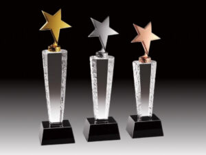 Awards-and-mementos